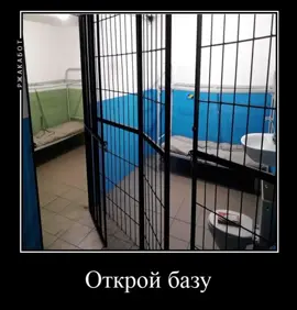 #откройбазуиверниbrbrpatapima #ашрафхакими #рекомендации 