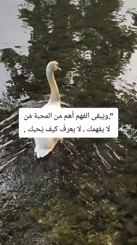#اعلى_مشاهدة_في_تيك_توك #اكسبلور #كلام_من_القلب #الشعب_الصيني_ماله_حل😂😂 