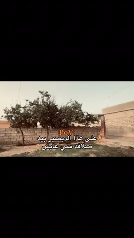 #اغاني #شعر #fyp #vairal #الشعب_الصيني_ماله_حل😂😂 #تصويري #تصويري_احترافي_الاجواء👌🏻🕊😴 