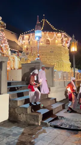 කදිරපුර මහ ඇත් රජු අභිශේක වීම.. 2025 ඇසල මහා මංගල්‍යය #kandyesalaperahara2025  #sridaladamaligawa 