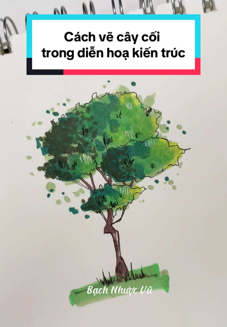 Cách mà mình vẽ cây cối trong diễn hoạ kiến trúc - CSKT2 #LearnOnTikTok #Vulaci #drawing #painting 
