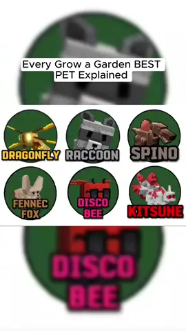 #robloxlore #explained #roblox #robloxfyp #growagarden #growagardenroblox #growagarden🥒🌶🍅 #growagardenpets 