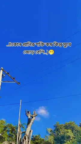 #বলো#বলো_বলো😁😁 #ভোলায়া🇧🇩পোলা #🐸🐸🐸 #টিকটক_বিডি_বাংলাদেশ #❤️❤️🥀🥀💪💪💪👍👍👍 #হালাল_বিনোদন🤫৷৷ #foreyoupage_trending #👍👍🐸🤪🤪 #tiktokofficialbangladesh #CapCut 