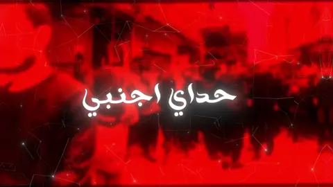 حداي اجنبي ....💔#اللهم_عجل_لوليك_الفرج #fyp #السيدة_زينب 