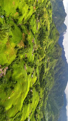 Không phải Tả Van, đây mới là bản có những thửa ruộng bậc thang đẹp nhất nhì Sapa  #tiktoktravel #dulichvietnam #sapa #ylinhho #tuynhadi 