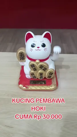 Patung Kucing Hoki #kucing #hoki  #kucinghoki 