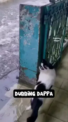 #DeviMatavi69 #comedyvideo #🤣😅😆🤣🤣 #DeviMatavi69 #fypage 