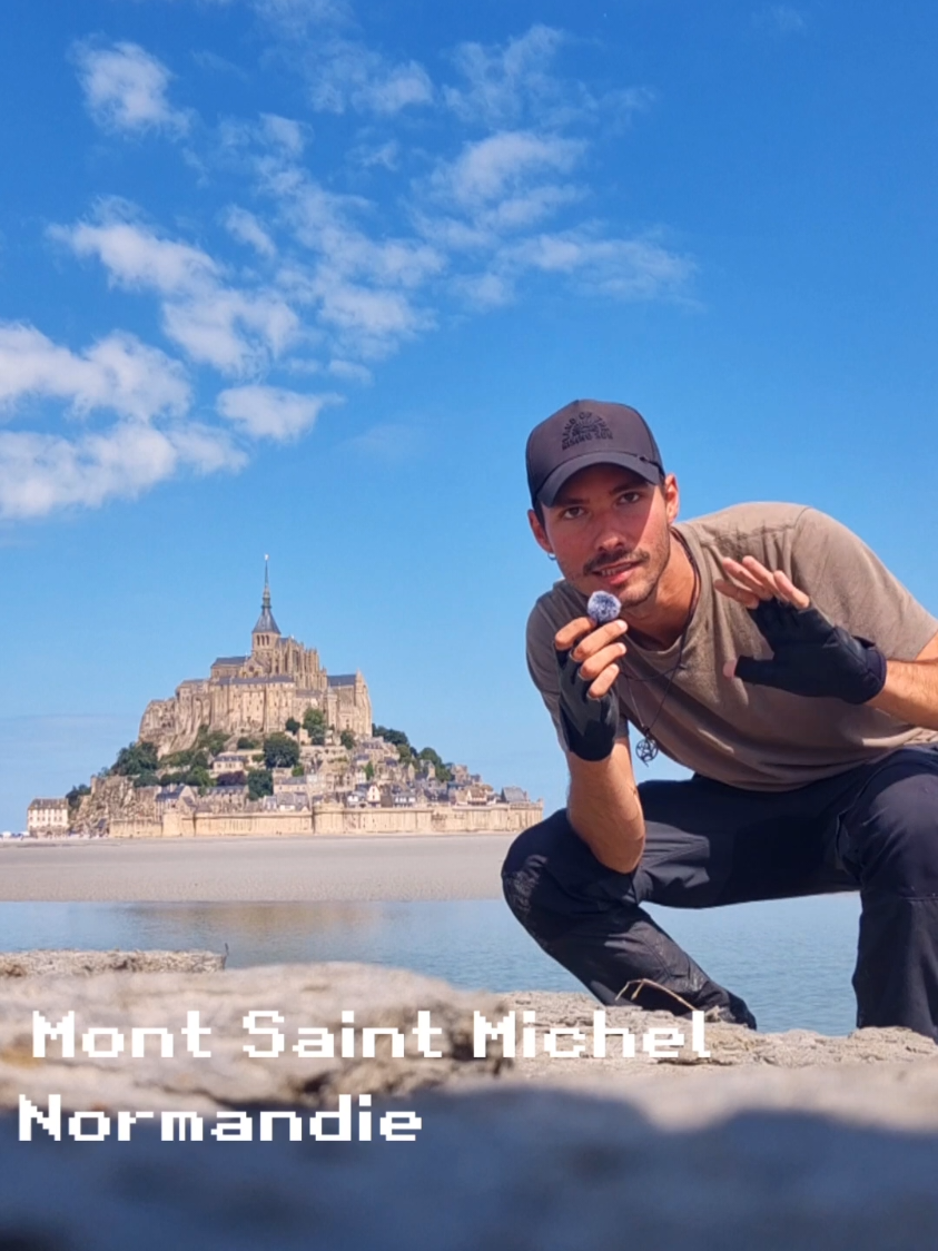 Épisode 4 : Les secrets du monde Saint Michel 🐦 #naturalisme #montsaintmichel #pokemonirl 