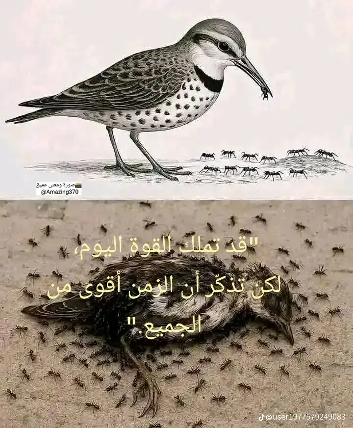 #هاذه حالنا فلا تغرنك الحياه