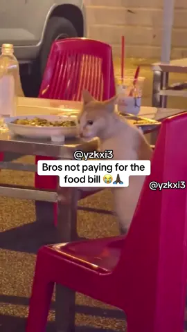 #yzkxi3 #fy #meme 