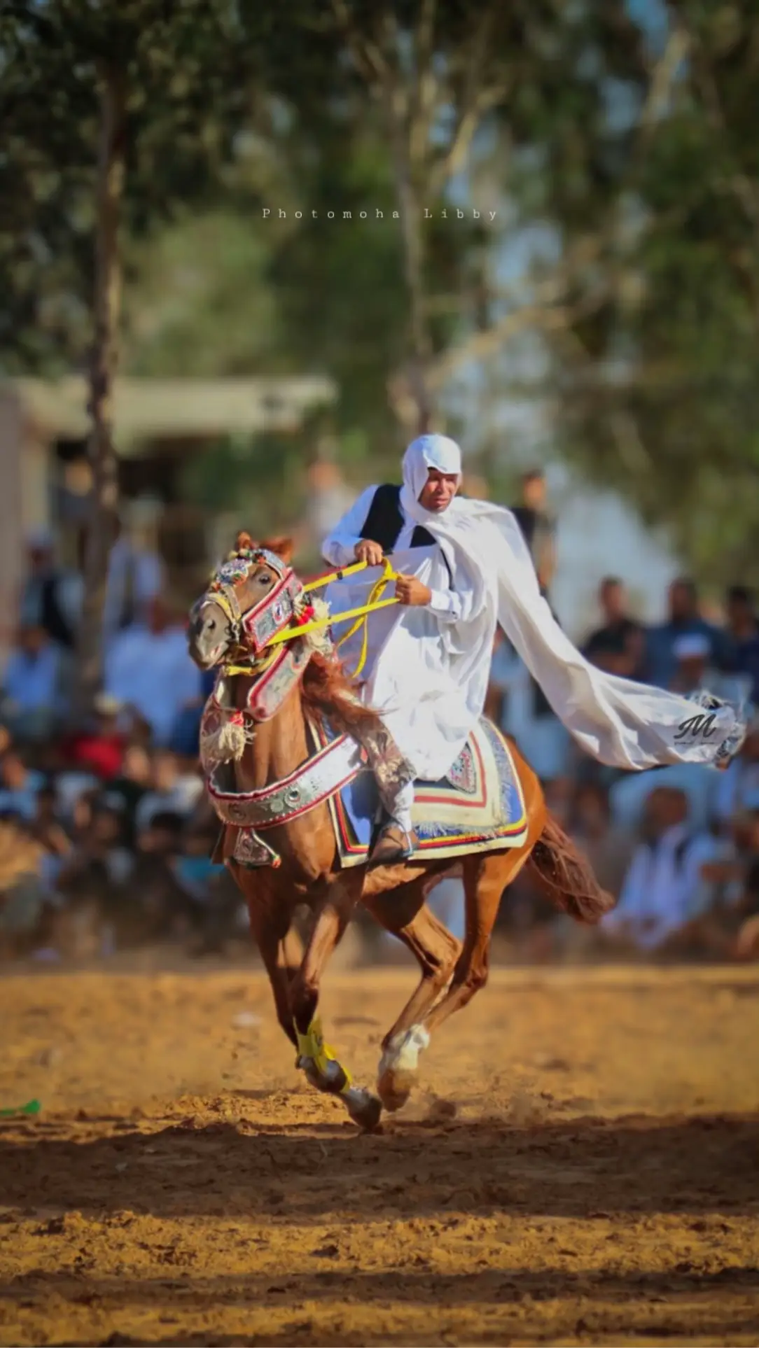 #فرسان #ليبيا #تريس_ليبيا #خيل_وخياله🐎 #photo #محمود_الغناي📸 #horses #fyp #ليبيا🇱🇾 