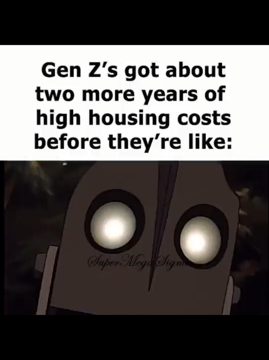 #memestiktok #memesdaily #memes #irongiant #theirongiant #genz #genzhumor #housingcrisis #shitposting #shitpostingviral 