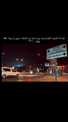 هل أنا الوحيد الذي لم يعد يريد شيئا من الحياة ،سوى أن يهدأ عقله وقلبه  ..