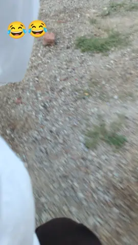 😂😂 #viralvideo #fyp #foryouvideo #foryoupage #tiktoknewtrending #sajjadkhaqwani 