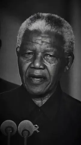 #nelsonmandela #sylvesterstallone#motivationquotes#learn#usyk 