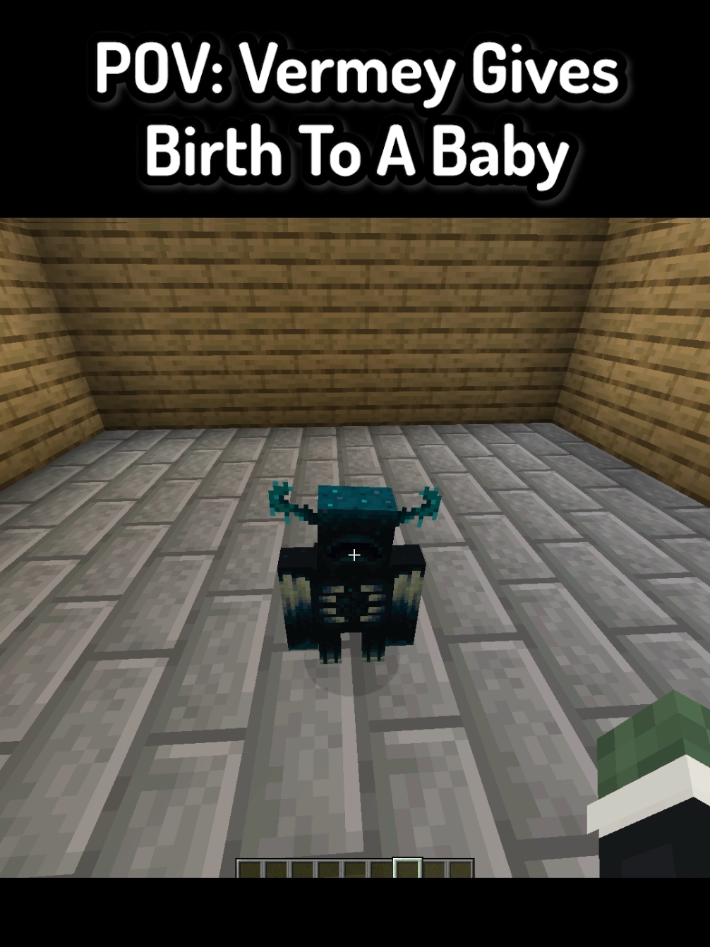 POV: Vermey Gives Life To A Baby In Minecraft ( FT: @Vermey @legand ) #Minecraft #funnymoments #mc #mcyt #minecraftmemes 