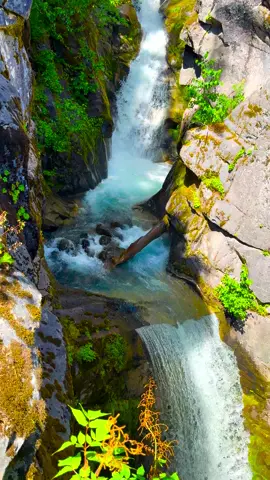 Waterfalls are my favorite, I can never resist capturing a photo or video whenever I see one. This stunning waterfall is located on Mount Rainier. #⛰️🌲🌊Mt Rainier📌 #mtrainiernationalpark #creatorsearchinsights #mtrainier #mountrainier #mountrainiernationalpark #rainier #nationalparks #Hiking #hiketok #pnwhikes #pnwhiking #solohiking #solotravel 