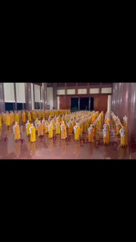 #tamanlac #binhan #binhyen🤍🕊️ #binhyenbenchanphat #phatgiao 