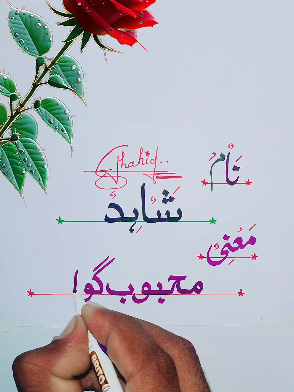 Replying to @shahad.faree Shahid name meaning 🤗💞🤗#fypp #foryou #creatorsearchinsight #peerajmalrazaqadri #beatifull biyyan