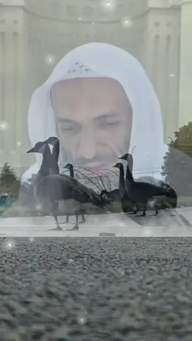الله بحسن الخاتمه  سبحان الله وبحمده سبحان الله العظيم 🤍 #الشيخ_خالد_اسماعيل_حفظه_الله  #عليه_افضل_الصلاه_والسلام  #القلب_المطمئن  #foryou   #اكسبلورexplore  #ابوظبي  #العين  #دبي  #سبحان_الله_وبحمده_سبحان_الله_العظيم #اذكروا_الله   #استغفرالله_العظيم_واتوب_اليه 