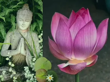 #buddhism #буддизм #aesthetic #budda #fyp #core #знак #loveyourself #hopecore #asia #vibe 