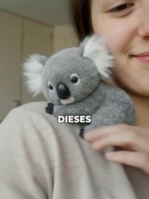 Kostenloser Versand Nur Noch Heute