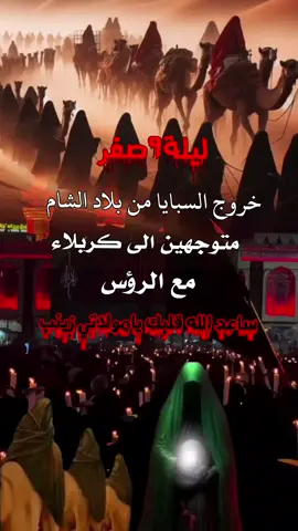#9صفر_خروج_السبايا_من_الشام_الى_كربلاء #عظم_الله_اجورنا_واجوركم_بهذا_المصاب #عمت_عيني_عليج_مولاتي_زينب 