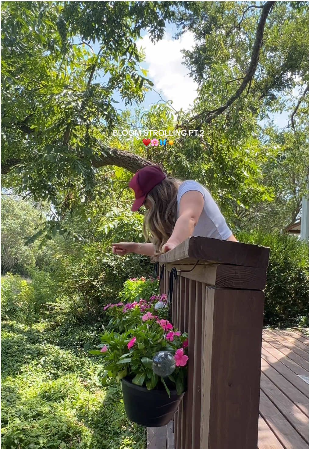 what should i do to bring some life into the patio space? #bloomstrolling #outdoor #Lifestyle #fyp #creatorinsightsearch #series #texas 