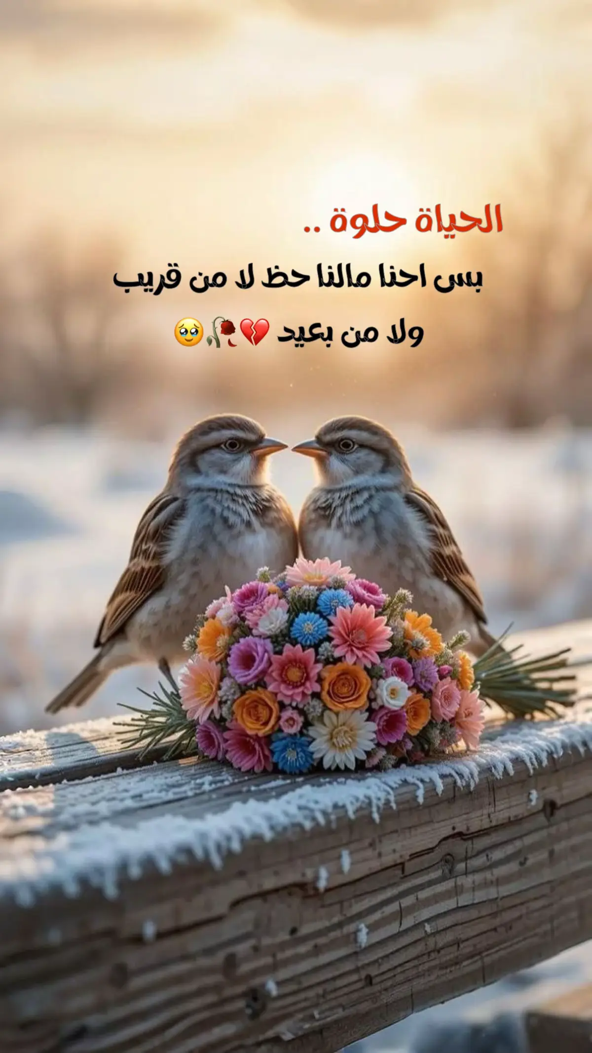 #قتباسات #ستوريات #اعادة_النشر🔃 