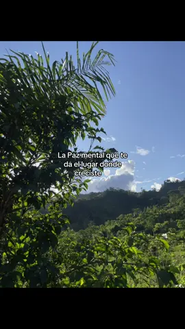 Regresar a ese lugar 😿#casa #selva #paz #mental 