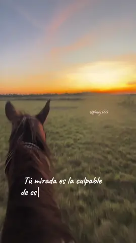 la dulzura de tus besos hacen que yo más te adore♥️. #miguelitodiaz #llaneras #llanocolombiano #campo #llanoadentro #viralvideo #llanerisima #llanogrande #llanosorientales #parati #latierradedondevengo #llano @Miguelito Diaz 