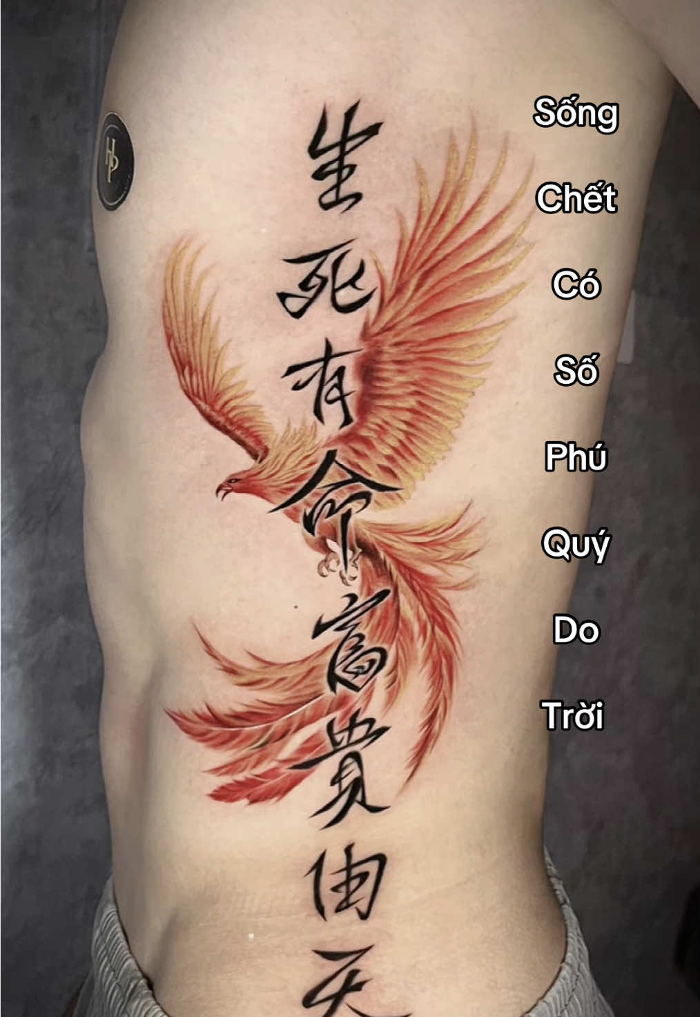 Hình xăm chữ trung ở sườn - sống chết có số phú quý do trời #tattoo #xămtpvinh #xăm #xămhinhnghethuat #hparttattoo #hoangphamtattoo #viral #goclamdep #CapCut 