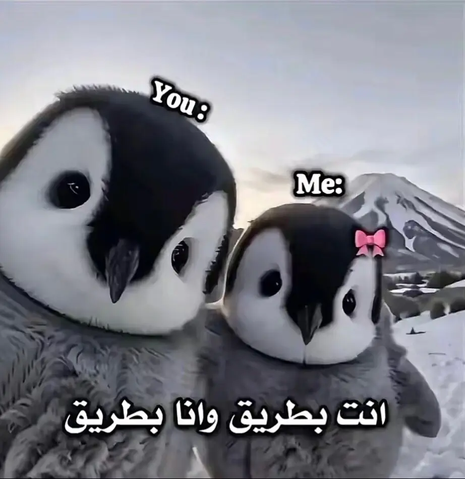 انتي بطريق وانا بطريق😔 #طبرق_بنغازي_درنه_طرابلس_البيضاء #اليبيا🇱🇾_بنغازي #جوكم_يا_اثلوبة #الشعب_الصيني_ماله_حل😂😂 