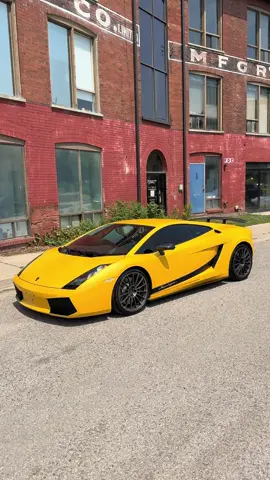 Welcome the new addition to the collection 2008 Lamborghini Gallardo Superleggera 5.0L V10 💛 1 of 618 worldwide and 1 of 67 finished in Giallo Midas  Truly a special car and last of its kind with one of the best sounding V10s from Lamborghini before they started sharing too much with Audi  - - - #lamborghini #superleggera #gallardo #modernclassic #italiansupercar #v10 #giallo #lambo #exoticcar #carreels #cars #carsofttiktok #ferrari #corvette #lamborghiniclub 