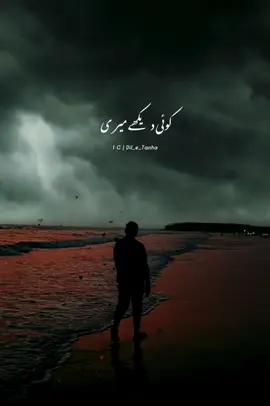 #diletanha #growmyaccount #foru #videoviral #90 #indiansong #fyp 
