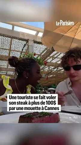 Ce couple de touristes de passage à Cannes s'est fait surprendre par le volatile qui a volé pour plus de 100 dollars de steak, affirme la jeune femme. Interrogée par la chaîne abc7, elle a indiqué que le restaurant lui a servi une nouvelle fois son plat. #sinformersurtiktok #mouette #cannes #touriste 