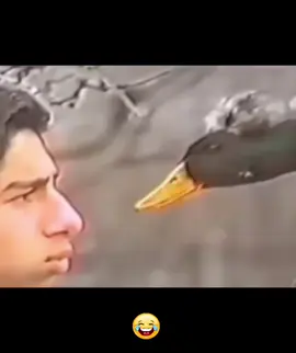 #funnyvideos #coolvideo #humour #relaxingvideos #😂😂😂 