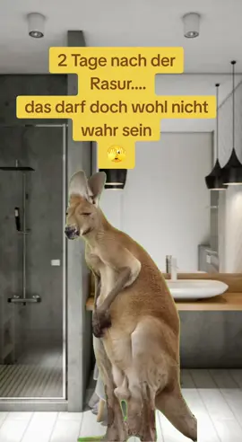 #Meme #MemeCut #memestiktok #funnymemes #funnytiktok #😁 #CapCut #2025 #foru #forupage #viralvideotiktok #viralvideos 