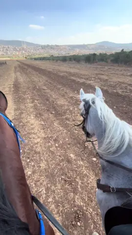 #عرابه_البطوف #اللهم_صلي_على_نبينا_محمد #foryoupage #foryoupage #اللهم_صلي_على_نبينا_محمد #foryoupage 