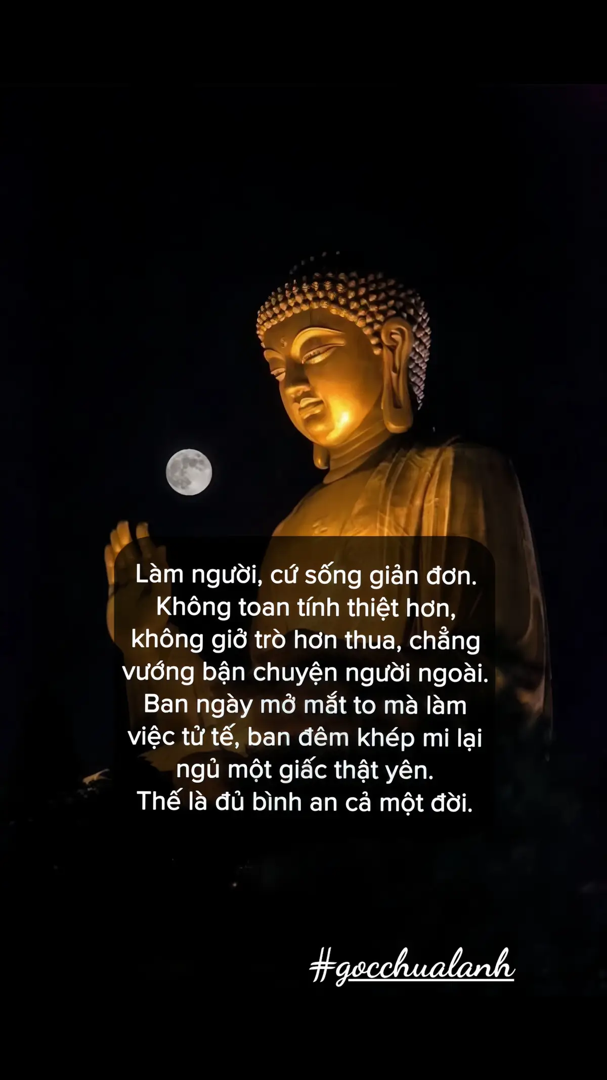 #phatgiaovietnam #phattaitam #nammoadidaphat #phatphapvobien #phatphapnhiemmau 