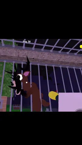 #trend #99 #roblox #99nights #99night #fyp #popular #99nightsintheforest #game #populargame 