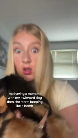 the way she panics too i cant #relatable #fyp #foryou #lol #dauchshund 