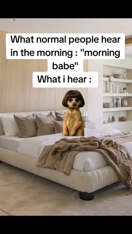 Goodmorning 🙌#viralvideos #vir #viralllllll #foryoupage #voorjou #fyp #fouryou 