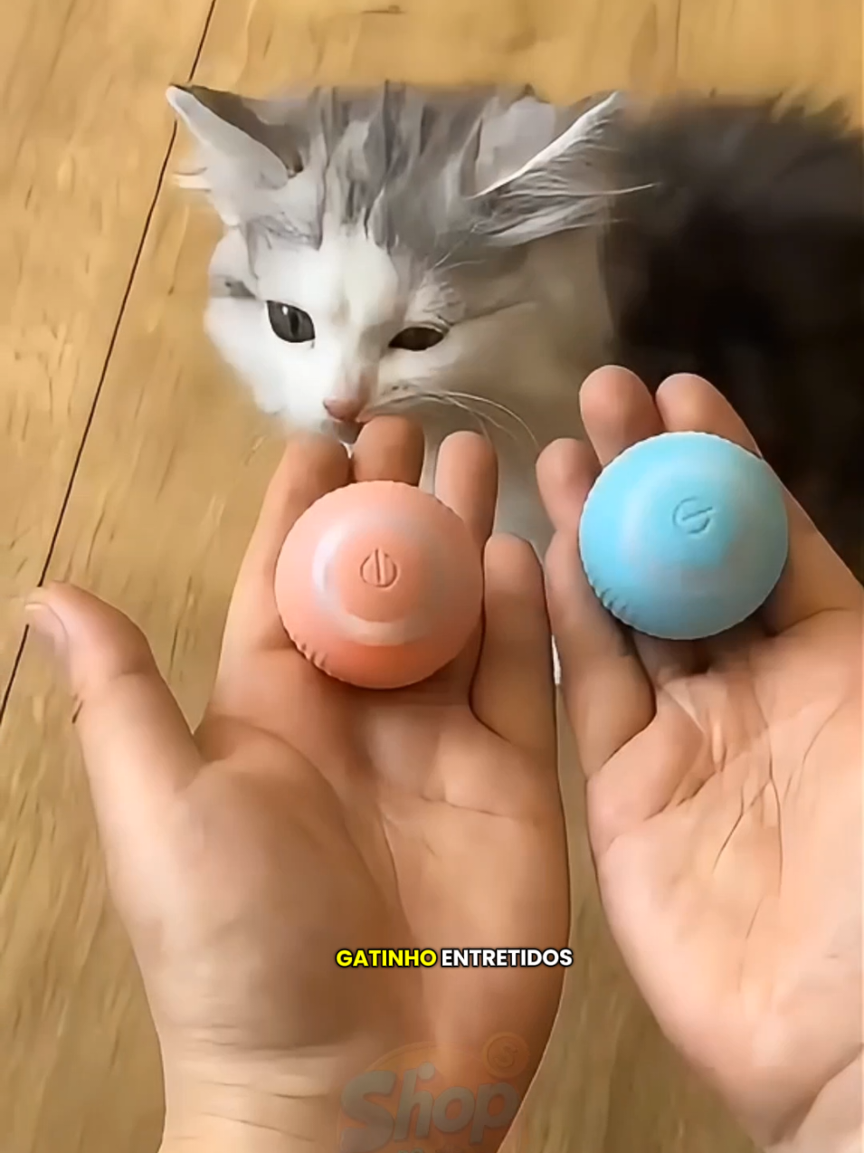 Bola De Brinquedo Eletrônica para cães e Gatos #boladebrinquedoeletronica  #boladebrinquedoparapets  #brinquedoparapets 