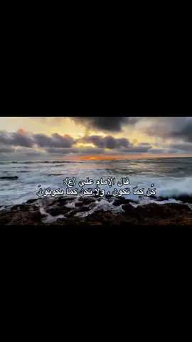 كمال الأنسان في طبيعته 🤍👍🏻.#اقوال_الامام_علي_عليه_السلام #اكسبلورexplore #اهل_البيت_عليهم_سلام 