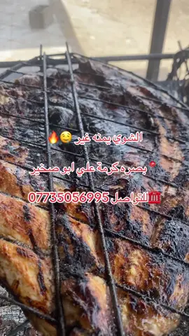 #سمج_مسكوف #البصره_كرمة_علي #حسين_لبيع_وشوي_الاسماك 