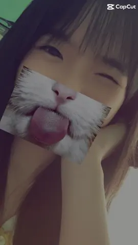 cũg cũg-))@adu a nem #xh #viral #xuhuong #meo 