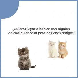 #grupito #fyp #tiktok #whatsapp #parati