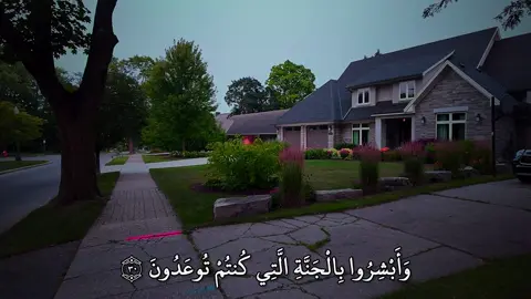 وَأَبْشِرُوا بِالْجَنَّةِ الَّتِي كُنتُمْ تُوعَدُونَ) ____________________________ سورة فصلت | ماهر المعيقلي  ____________________________ #quran #quran_alkarim #قران_كريم #ماهرالمعيقلي #قران #تلاوة_خاشعة 
