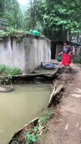 catch fish #betamreview #Vlog #sinhton 
